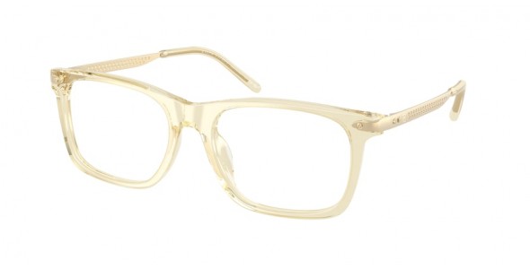 Ralph Lauren RL6253U 5034