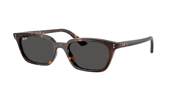 Ray-Ban Zaya RB4456 135987