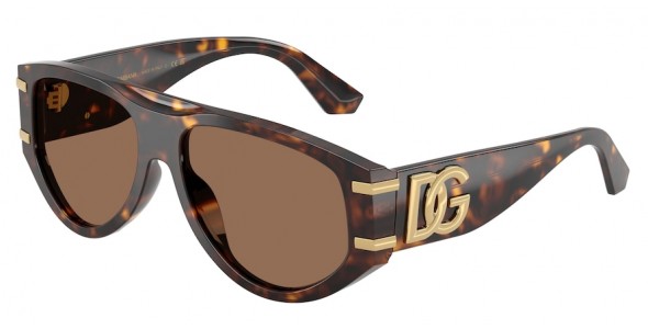 Dolce & Gabbana DG4499 502/73
