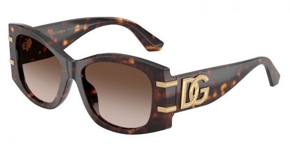 Dolce & Gabbana DG4501 502/13