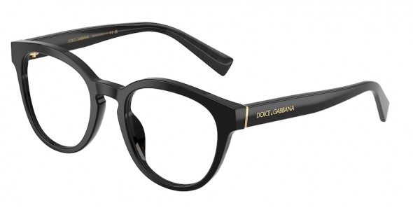 Dolce & Gabbana DG3421 501