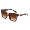 Dolce & Gabbana DG4498 322274