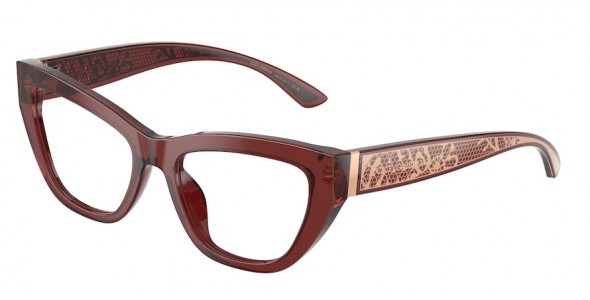 Dolce & Gabbana DG3412 3045
