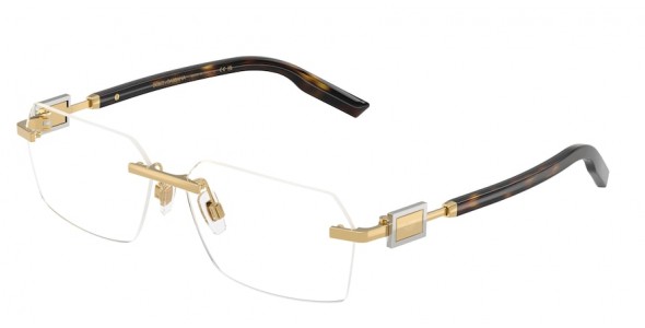 Dolce & Gabbana DG1361 02