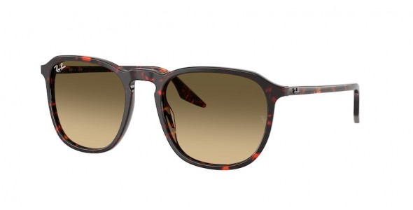Ray-Ban RB2203 14290A