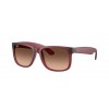 Ray-Ban Justin RB4165 6815A5