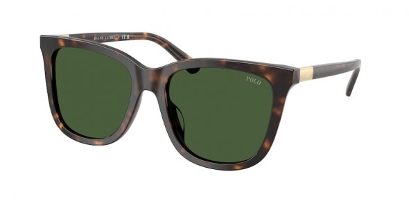 Polo Ralph Lauren PH4201U 500371