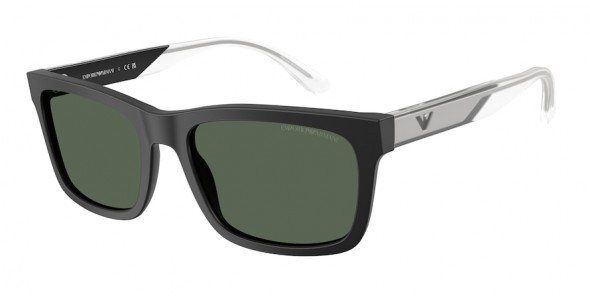 Emporio Armani EA4224 500171