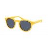 Polo Ralph Lauren PH4192 542087
