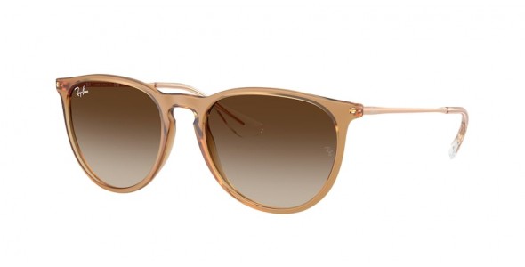 Ray-Ban Erika RB4171 681413