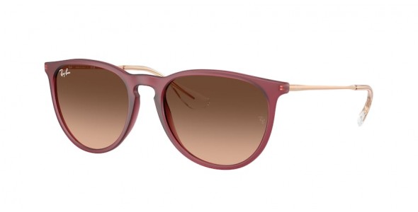 Ray-Ban Erika RB4171 6815A5