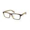 Polo Ralph Lauren PH2274U 5003
