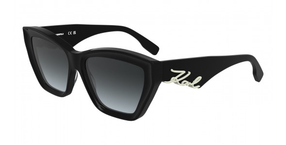 Karl Lagerfeld KL6179S 001