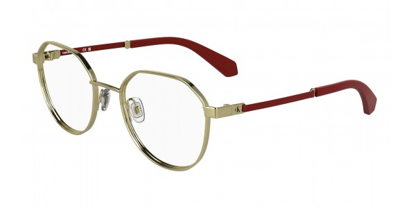 Calvin Klein Jeans CKJ25304 717