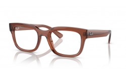 Ray-Ban Chad RX7217 8261