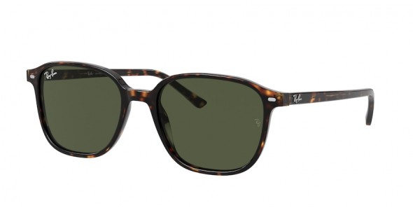 Ray-Ban Leonard RB2193 902/31