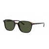 Ray-Ban Leonard RB2193 902/31