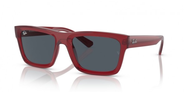 Ray-Ban Warren RB4396 667987