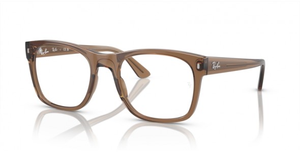 Ray-Ban RX7228 8198