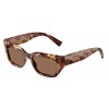 Dolce & Gabbana DG4462 346273