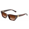 Dolce & Gabbana DG4532 322274