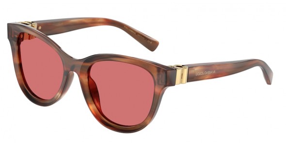 Dolce & Gabbana DG4533 322175