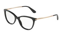 Dolce & Gabbana DG3258 501