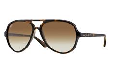 Ray-Ban Cats 5000 RB4125 710/51