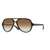 Ray-Ban Cats 5000 RB4125 710/51 | Ohgafas.com