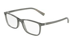 Dolce & Gabbana DG5027 3160