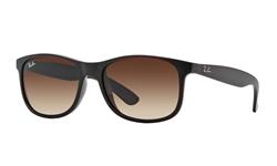 Ray-Ban Andy RB4202 607313