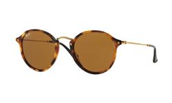 Ray-Ban Round Fleck RB2447 1160