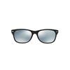 Ray-Ban New Wayfarer RB2132 622/30 | Ohgafas.com