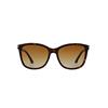 Emporio Armani EA4060 5026T5 | Ohgafas.com