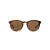 Polo Ralph Lauren PH4110 513473 | Ohgafas.com
