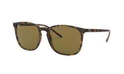 Ray-Ban RB4387 710/73